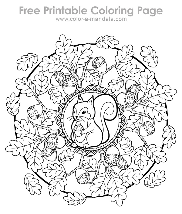 Sample image of a squirrel coloring page.