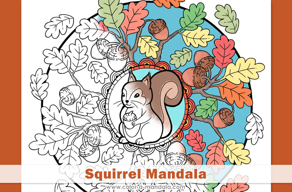 Image of a partially colored in Squirrel Mandala coloring page