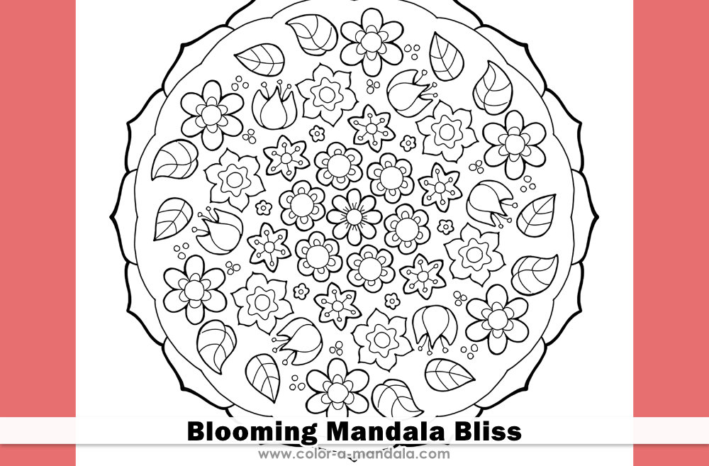 Header image of a coloring page with lots of pictures of flower blooms and leaves.